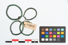 Foto von Bronzering (NHMW-PRAE-025947)